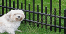 Puppy Picket Pet Friendly Aluminum Safety Fence in Black