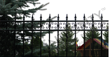 Castile Black Metal Residential Fence Panels with Decorative Finials and Butterfly Scrolls