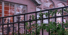 New Orleans Black Metal Commercial Fence Panels and Gates With Historic Fleur de Lis Finials