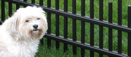 Aluminum Perimeter Industrial Grade Pet Safe Fencing Option