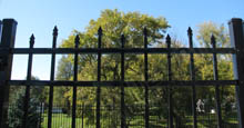 Bella Terra Metal Pool Gate in Black