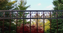 Camarillo Black Metal Pool Fence Panels With Butterfly Scrolls