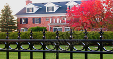 Providence Black Metal Residential Fence Panels With Historic Fleur de Lis Finials and Decorative Circles